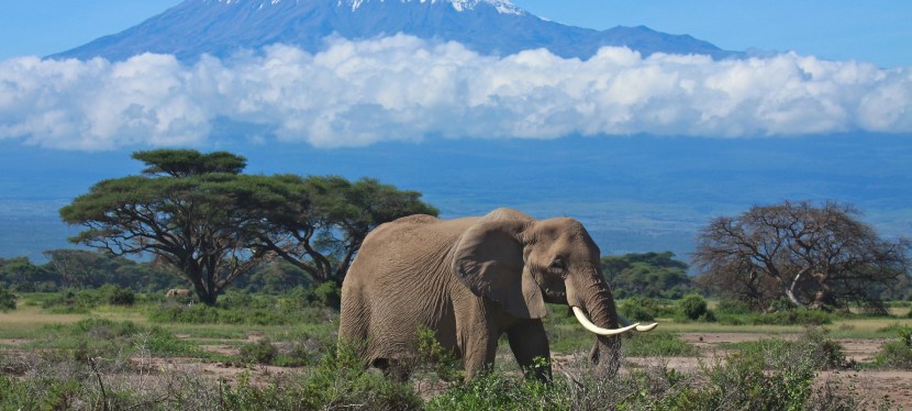 Kilimanjaro: Set Backs