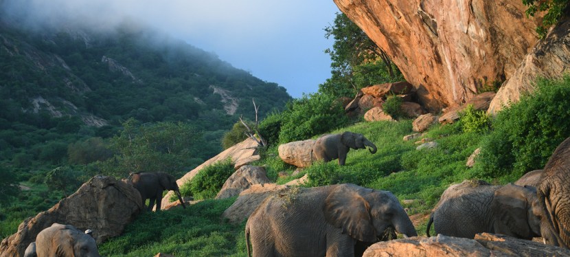 Kenya 2024: Ithumba (22-24 December)